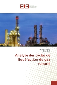 Analyse des cycles de liquéfaction du gaz naturel
