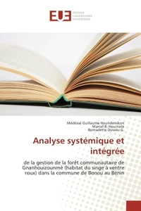Analyse systemique et integree