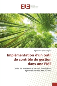 Implémentation d'un outil de contrôle de gestion dans une PME