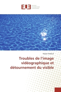 Troubles de l'image vidéographique et détournement du visible