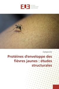 Protéines d'enveloppe des fièvres jaunes : études structurales