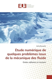 Étude numérique de quelques problEmes issus de la mécanique des fluide