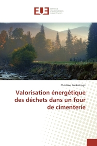 Valorisation energetique des dechets dans un four de cimenterie