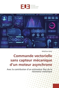 Commande vectorielle sans capteur mécanique d'un moteur asynchrone