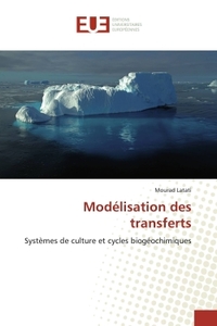 Modélisation des transferts