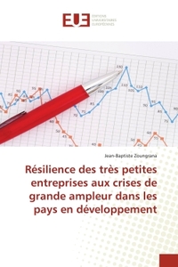 Résilience des très petites entreprises aux crises de grande ampleur dans les pays en développement