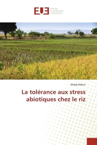 La tolerance aux stress abiotiques chez le riz