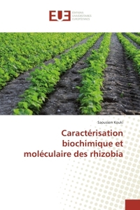 Caractérisation biochimique et moléculaire des rhizobia