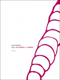 LES ACCIDENTS D'OMBRE