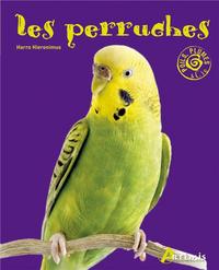 perruches
