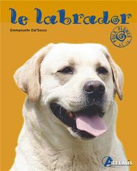 labrador