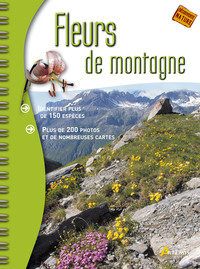 Fleurs de montagne