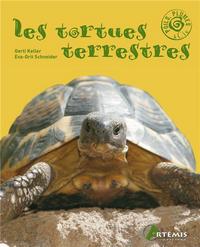 TORTUES TERRESTRES (LES)