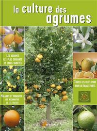 La culture des agrumes