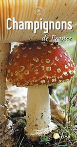 champignons de france