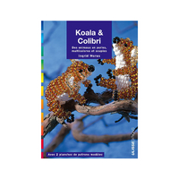 KOALA ET COLIBRI