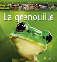 grenouille