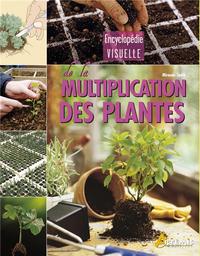 Multiplication des plantes