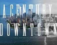 A Century Downtown : A Visual History of Lower Manhattan /anglais