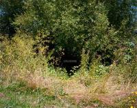 CHAD STATES CRUISING /ANGLAIS