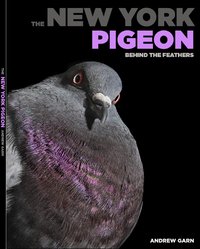 The New York Pigeon: Behind the Feathers /anglais