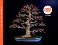 BONSAI CULTURE EXPO 2024