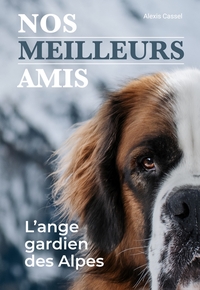 Nos meilleurs amis