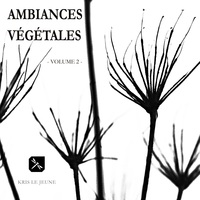 Ambiances Végétales - Volume 2 -