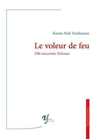 Le voleur de feu