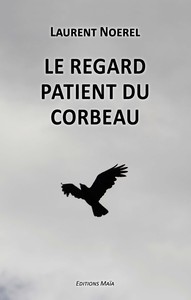 LE REGARD PATIENT DU CORBEAU