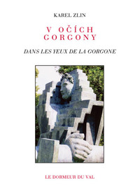 Dans les yeux de la gorgone