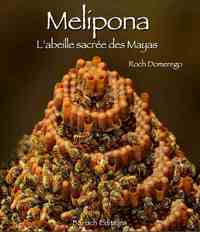MELIPONA, L'ABEILLE SACREE DES MAYAS
