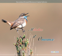 Mélodies d'oiseaux (1 CD +LIVRET)