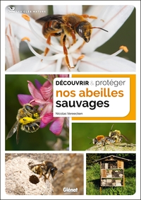 Découvrir et protéger nos abeilles sauvages