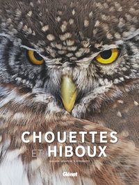 Chouettes et hiboux