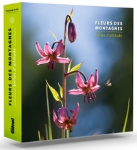 FLEURS DES MONTAGNES - BELLES D'ALTITUDE