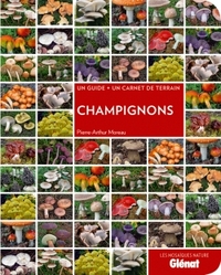 Champignons