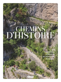 CHEMINS D'HISTOIRE - COMPOSTELLE, STEVENSON, VIA FRANCIGENA, TRO BREIZ...