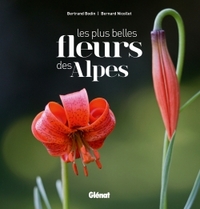 Les plus belles fleurs des Alpes