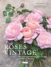 ROSES VINTAGE - DES ROSES ANCIENNES AUX ROSES NOUVELLES : UNE HISTOIRE ILLUSTREE