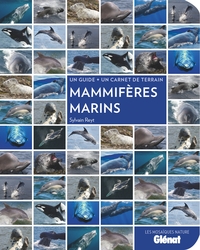 Mammifères marins