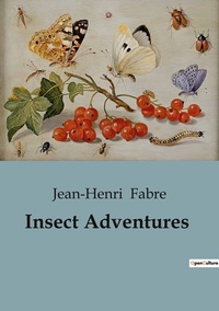 Insect Adventures