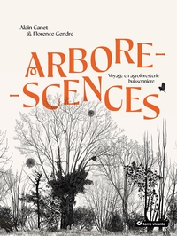 Arborescences