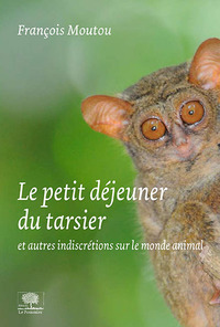 Le petit déjeuner du tarsier