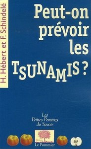 Peut-on prévoir les tsunamis ?