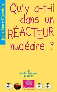 Qu'y a-t-il dans un réacteur nucléaire?