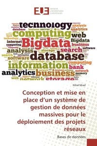 Conception et mise en place d'un système de gestion de données massives