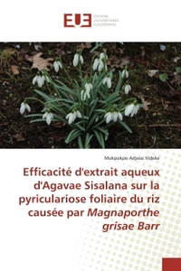 Efficacité d'extrait aqueux d'Agavae Sisalana sur la pyriculariose foliaire du riz