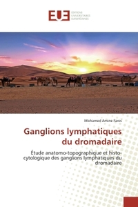 Ganglions lymphatiques du dromadaire