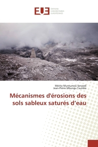 Mécanismes d'érosions des sols sableux saturés d'eau